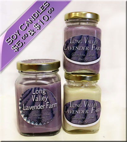 Soy Lavander Candles