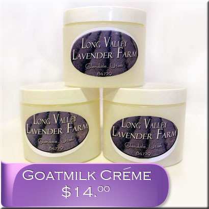 Goatmilk Lavender Creme 