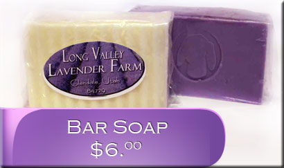 Lavender soap