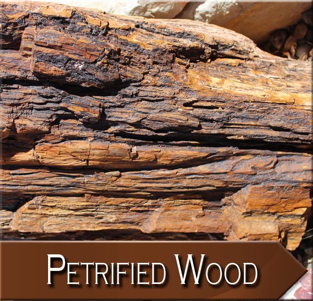 Petrified Wood